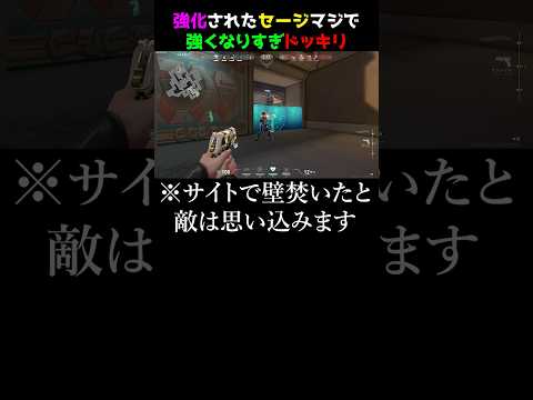 【超強化】新しく強化されたセージがマジで強すぎて刺さり過ぎドッキリ　#valorant #valorantクリップ #valorantショート #ヴァロラント #valorantclips