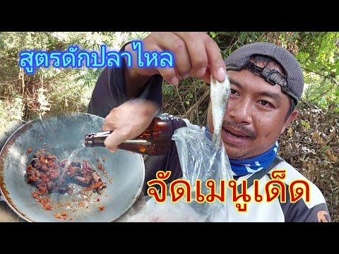ดักปลาไหล-ด้วยปลากระดี่+ปลาขาว ดักปลาไหล-ด้วยปลากระดี่+ปลาขาว