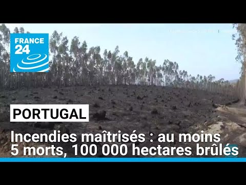 Incendies maîtrisés au Portugal : au moins 5 morts et 100 000 hectares brûlés • FRANCE 24