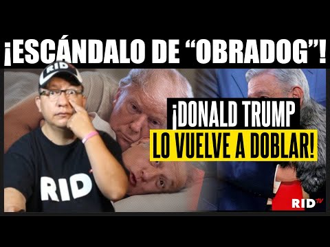 OBRADOG: TRUMP ya AGARRÓ de MASCOTA a OBRADOR y lo DOBLA NUEVAMENTE | Compilación #69