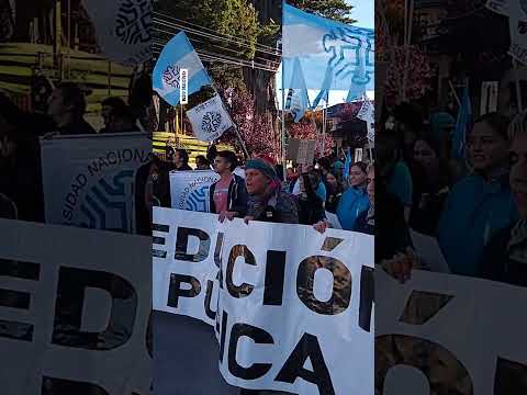 En Bariloche una multitud en la marcha universitaria