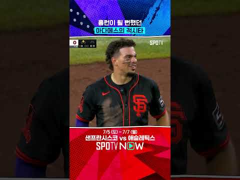 펜스 참 높다 높아 