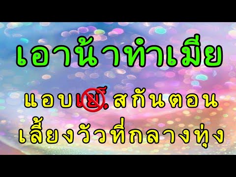 เรื่องสั้นรักสุดท้ายที่ปลายทา