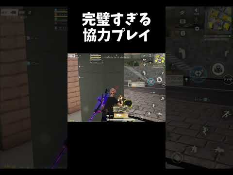 野良なのに完璧な協力プレイできたｗｗ【#荒野行動】#shorts #荒野組 #Knives Out #荒野再会祭 #荒野行動純金配布