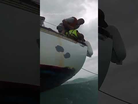 Man, dog rescued off FL coast as Hurricane Helene approached