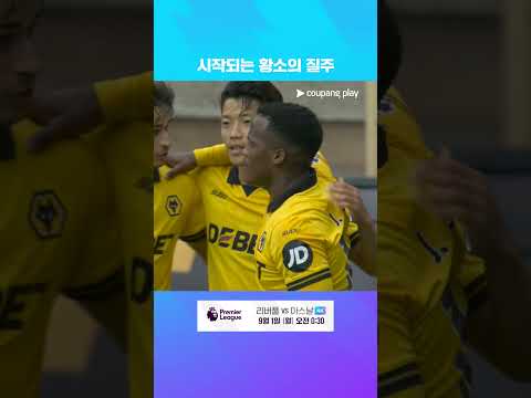 완벽한 역습으로 만들어 낸 황희찬의 리그 1호 득점 l 프리미어리그 I 울버햄튼 vs 에버턴