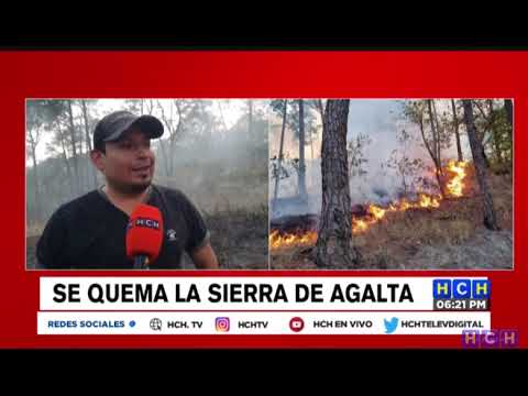 Se reporta fuerte incendio forestal en la Sierra de Agalta en Catacamas, Olancho