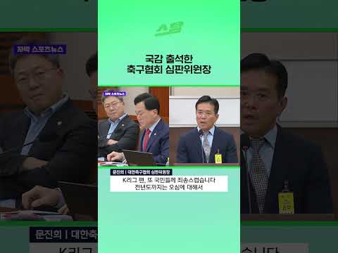 국감 출석한 축구협회 심판위원장