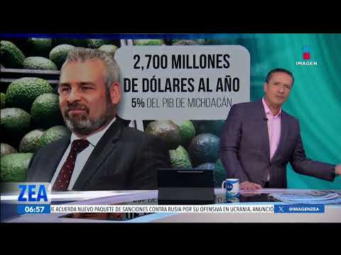 ¿Quién podrá salvar al aguacate michoacano? | Noticias con Francisco Zea