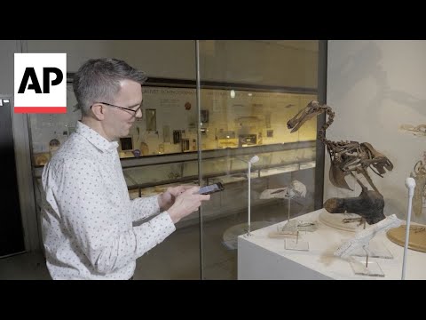 A talking dodo leads a new AI experiment at a zoology museum