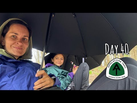 Day 40 | Appalachian Trail Thru Hike 2024 | Rainy & Windy Day #appalachiantrail #explore #hiking