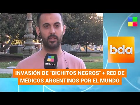 Invasión de Bichitos negros + Médicos argentinos por el mundo #BDA | Programa Completo (13/03/23)