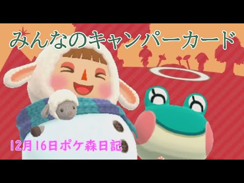 【ポケ森日記】6年12月16日皆のキャンカ #ポケ森 #どうぶつの森