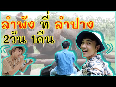 เช่ามอไซค์เที่ยวลำปางคนเดียว2