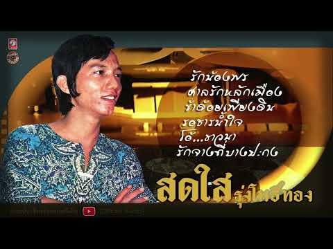 สดใสรุ่งโพธิ์ทอง[รวมเพลงดัง