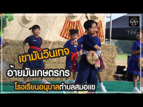 อบต.สมอแข เขามันวินเทจอ้ายมันเกษตรกรโรงเรียนอนุบาลองค์การบริหารส่วนตำบ อบต.สมอแข เขามันวินเทจอ้ายมันเกษตรกรโรงเรียนอนุบาลองค์การบริหารส่วนตำบ