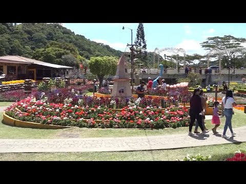 Reportan buena asistencia de personas a la Feria de Las Flores y El Café