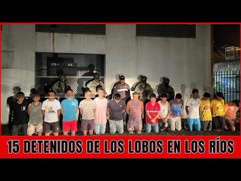 Fuerzas Armadas capturan a 15 integrantes de Los Lobos en Los Ríos