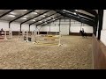 Show jumping horse Springpaard te koop: met goed vermogen springende 9-jarige Numero Uno x Oklund ruin