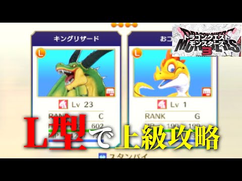 【DQM3#11】この構成でやってみよう～