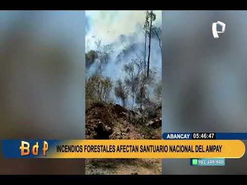 FB - incendios forestales Abancay