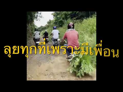 จักรยานไฟฟ้าแต่งชิ่งอย่างฮาเลย จักรยานไฟฟ้าแต่งชิ่งอย่างฮาเลย
