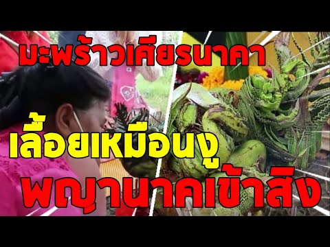เป๊ะ2งวดถูกตรงๆ-คอหวยแห่ขอโชคม เป๊ะ2งวดถูกตรงๆ-คอหวยแห่ขอโชคม