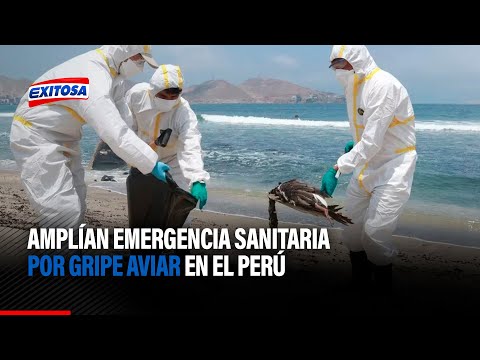Amplían emergencia sanitaria por gripe aviar en el Perú hasta diciembre de 2023