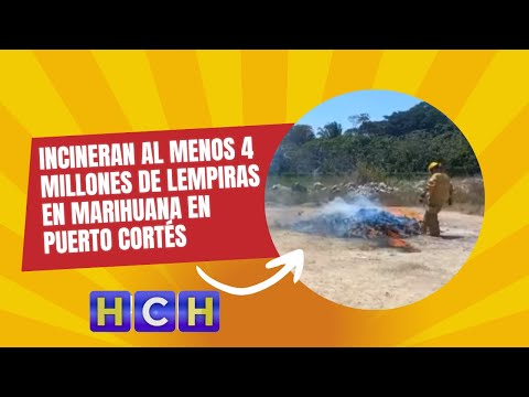 Incineran al menos 4 millones de lempiras en marihuana en Puerto Cortés