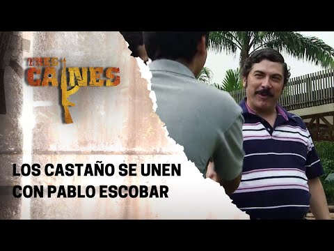 Los Castaño conocen a Pablo Escobar | Tres Caínes
