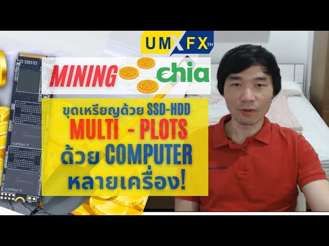 ขุดเหรียญ-Chia-สร้าง-Multi-Plo ขุดเหรียญ-Chia-สร้าง-Multi-Plo