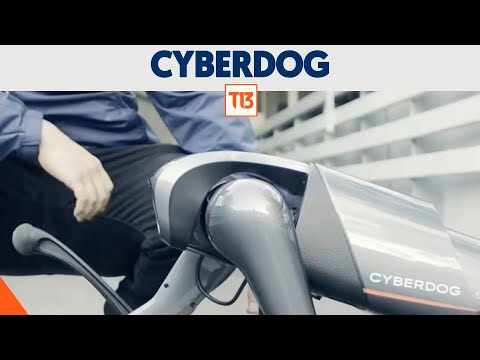 Cyberdog, el perro robot que ayuda a estudiantes