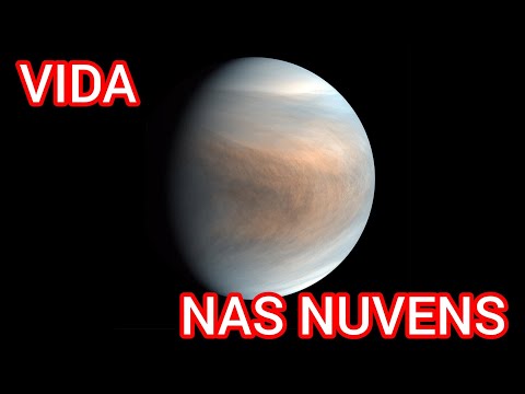 DESCOBERTA DE AMÔNIA AUMENTA AS CHANCES DE VIDA NA ATMOSFERA DE VÊNUS