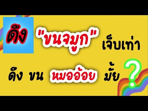 ทดสอบดึงขนจมูกเจ็บเท่าดึงขนห