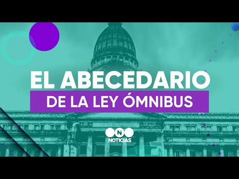 EL ABECEDARIO DE LA LEY ÓMNIBUS - Telefe Noticias