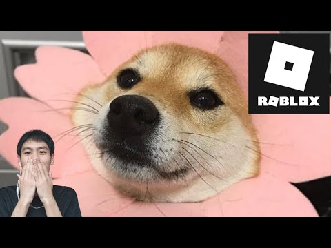 Roblox-สด-:-หมาน้อยน่ารัก Roblox-สด-:-หมาน้อยน่ารัก