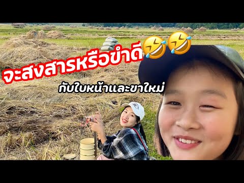 จะสงสารหรือขำดีเจ็บตัวกันทั้งส จะสงสารหรือขำดีเจ็บตัวกันทั้งส