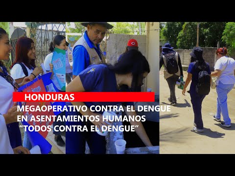 Megaoperativo contra el dengue en Asentamientos Humanos  “Todos contra el dengue”