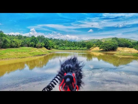 Gros-Morne, Haiti ? Lac Perou, yon lac ki chaje ak on seri de gwo pwason... Pwason dlo dous