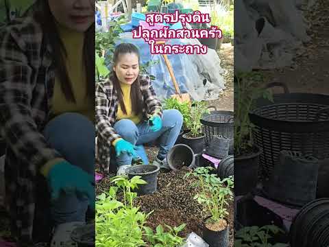 สูตรปรุงดินปลูกผักในกระถางปลู