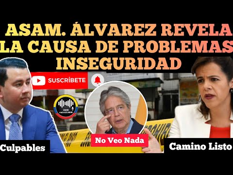 ASAMBLEÍSTA FERDINAN ÁLVAREZ REVELA LA CAUSA DE PROBLEMAS DE IN SEGURIDAD NOTICIAS ECUADOR RFE TV