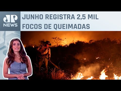 Patrícia Costa comenta decreto de situação de emergência por conta dos incêndios no Pantanal em MS