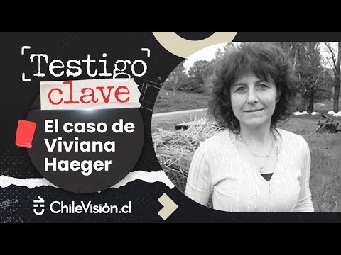 CASO VIVIANA HAEGER 42 DÍAS DESAPARECIDA  TESTIGO CLAVE