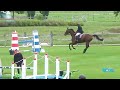 Show jumping horse Versandro
