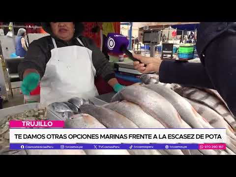 Te damos otras opciones marinas frente a la escasez de pota