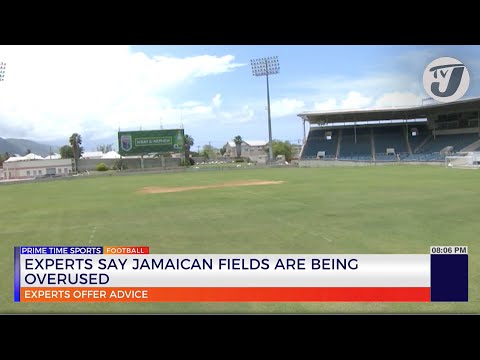 Experts Say Jamaican Fields are being Overused