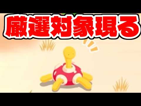 急に決闘が始まりました。【ポケモンスリープ】