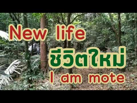 Newlive|ชีวิตใหม่|Iammo