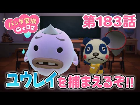 【あつ森アニメ】パンダ家族の日常 第183話「ユウレイを捕まえるぞ!!」