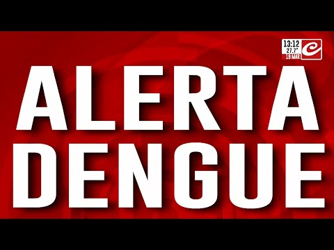 Alerta dengue: hay más de 10 mil casos en Chaco